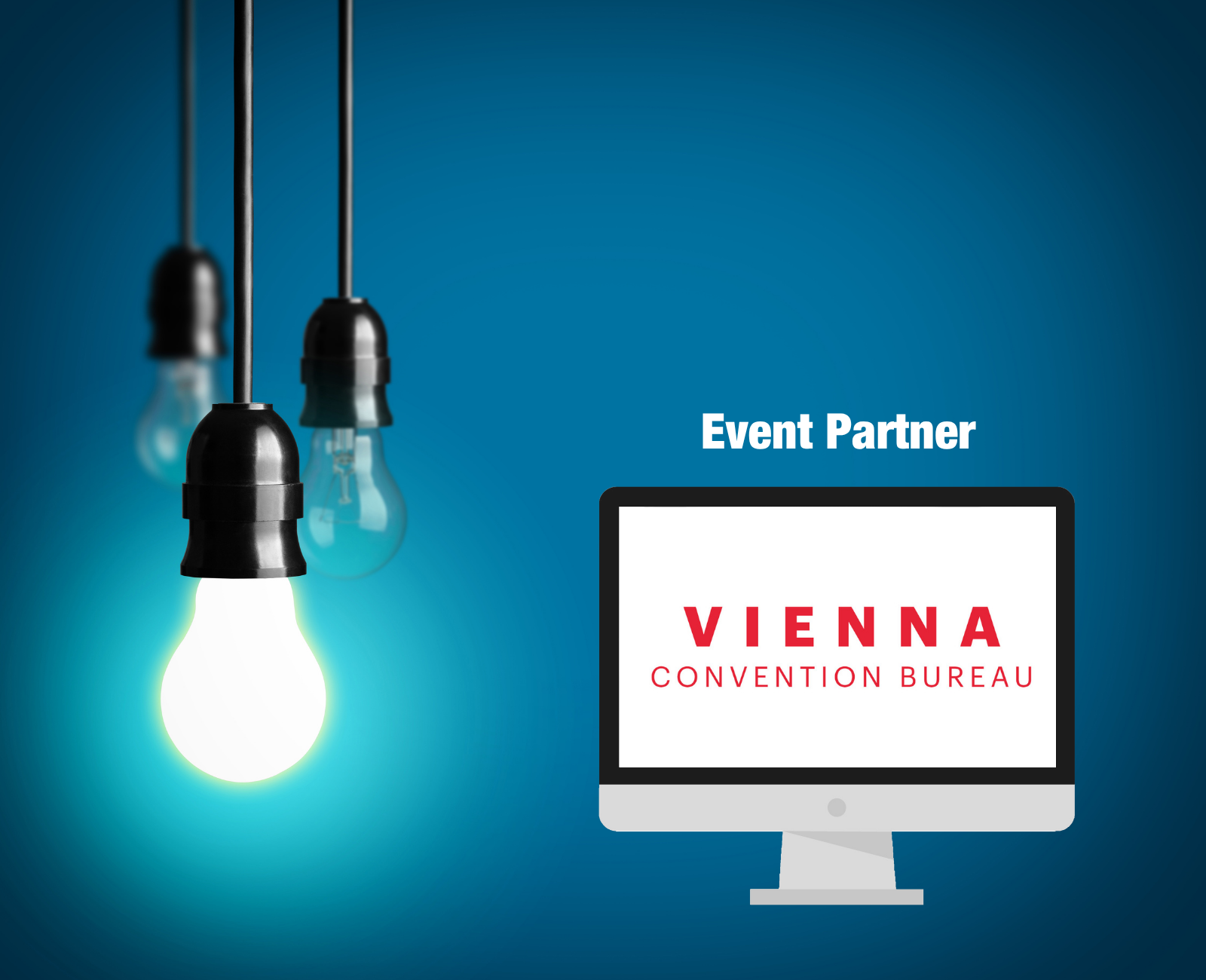 Vienna ICE Banner 2024