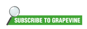Grapevine - Subscribe to Grapevine